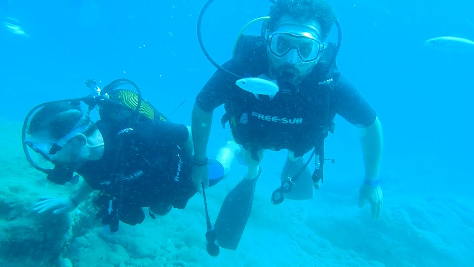 Alanya: 2 Guided Scuba Dives with Lunch and Hotel Transfers - Key things to know before you go