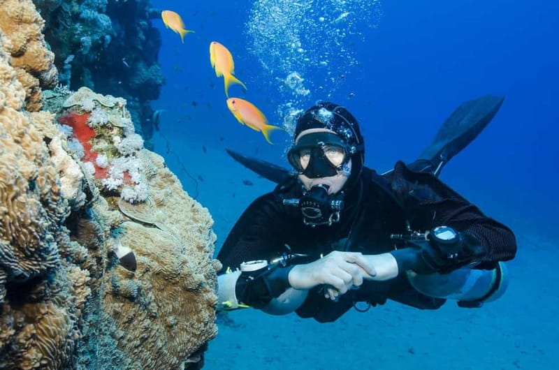Antalya/Kemer: Scuba Diving Experience with 2 Dives & Lunch - Key things to know before you go