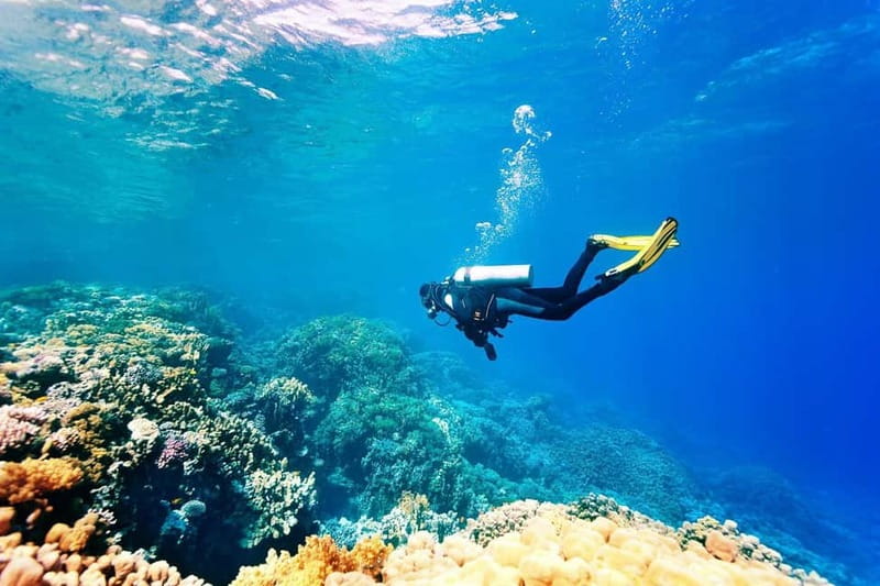 Antalya/Kemer: Scuba Diving Experience with 2 Dives & Lunch - Safety briefing in Camyuva: beginner-friendly training that actually sticks