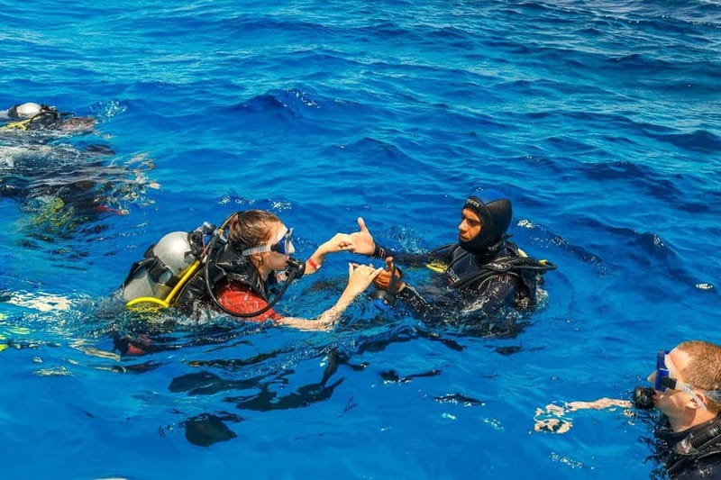 Antalya/Kemer: Scuba Diving Experience with 2 Dives & Lunch - Akvaryum Koyu (Aquarium Bay): clear water and Mediterranean wildlife