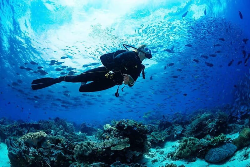 Antalya/Kemer: Scuba Diving Experience with 2 Dives & Lunch - Swimming and waiting time at the surface: use it well