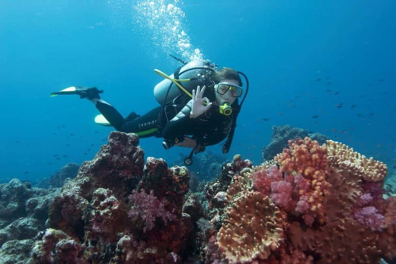 Antalya/Kemer: Scuba Diving Experience with 2 Dives & Lunch - Kiris lunch on board: what you’ll eat and why timing matters