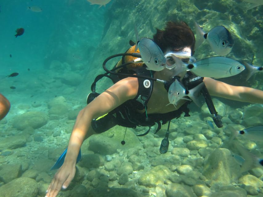 Antalya/Kemer: Scuba Diving Experience with Lunch & Pick up - Your first underwater session at about 5 meters (learning mode)