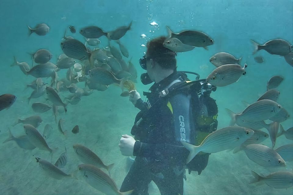 Antalya/Kemer: Scuba Diving Experience with Lunch & Pick up - Snorkeling, sunbathing, rock jumps, and fish-feeding breaks