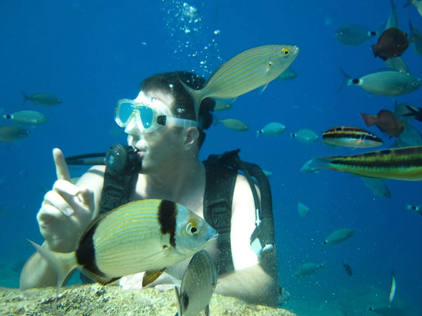 Antalya/Kemer: Scuba Diving Experience with Lunch & Pick up - Who this Kemer scuba experience is best for