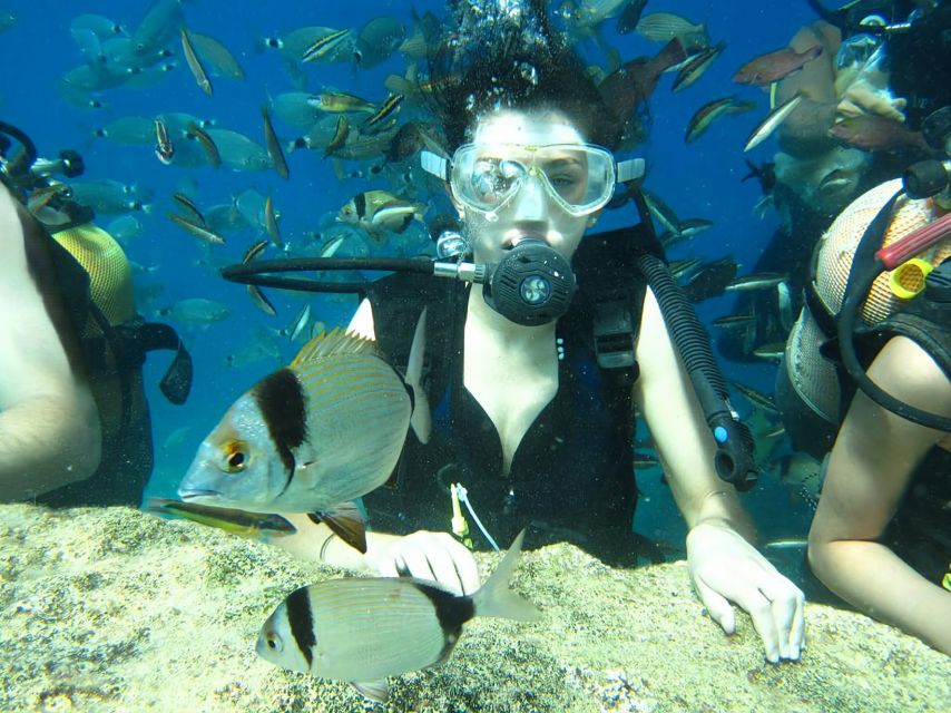 Antalya/Kemer: Scuba Diving Experience with Lunch & Pick up - The 7–8 hour rhythm: from Kemer Marina to lunch onboard