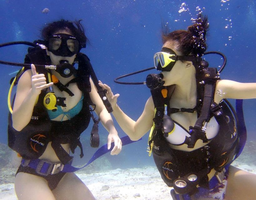 Antalya/Kemer: Scuba Diving with Pickup, Lunch, and 2 Dives - First Underwater Session: Short, Structured, and Tailored