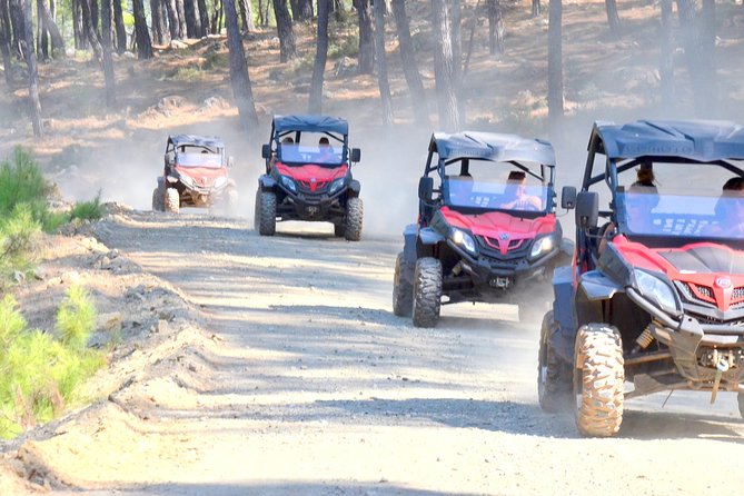 Buggy Safari for 2 people - Viewpoints, Return Route, and Small Moments on the Way Back