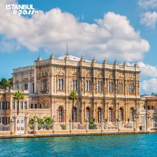 Dolmabahce Palace & Harem Skip-the-Line Entry & Audio Guide - Why Dolmabahce Palace still hits hard in 2026