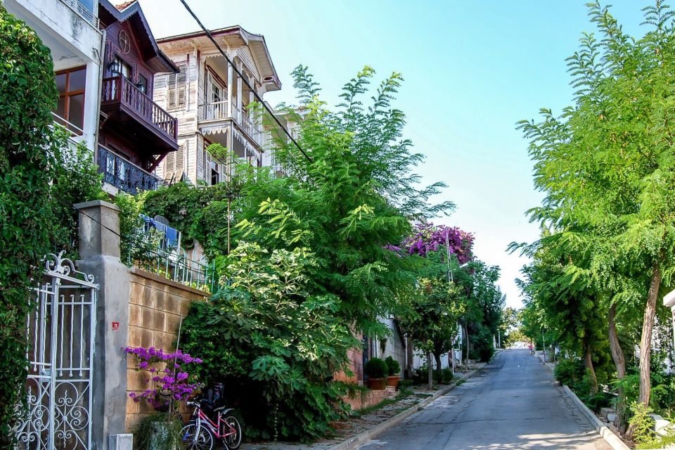 From Istanbul: Full-Day Princes Island Tour with Lunch - Büyükada’s mansions: the Ottoman street scenes you actually want to walk