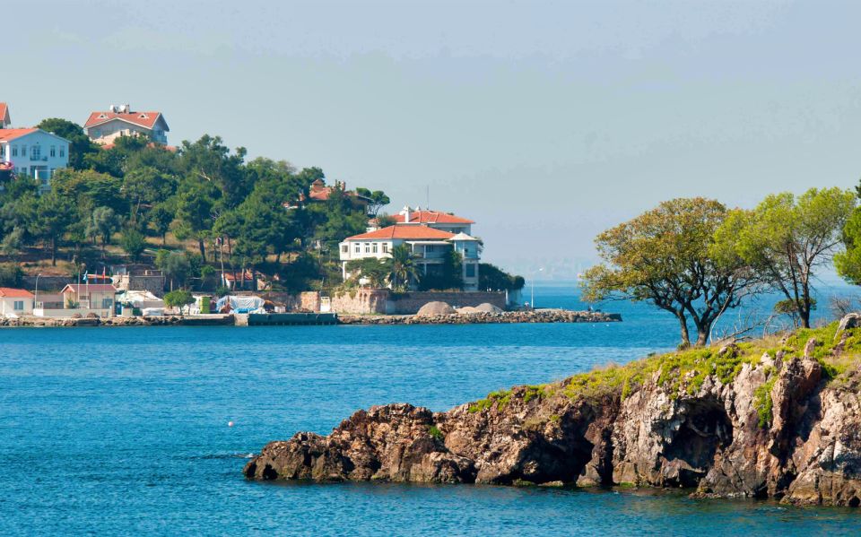 From Istanbul: Full-Day Princes Island Tour with Lunch - Shopping near the end: gift and leather stops you can handle