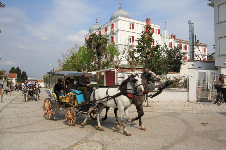 From Istanbul: Full-Day Princes Island Tour with Lunch - Kınalıada: a short stop to stretch your legs and get ready for Büyükada