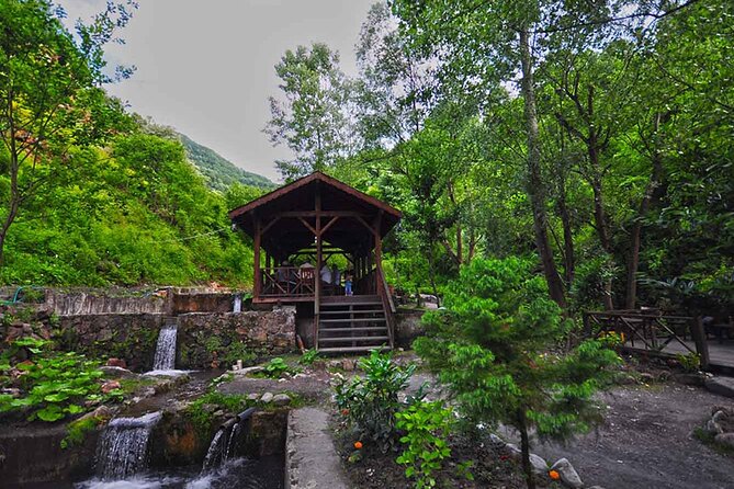 From Istanbul: Sapanca and Masukiye Day Trip with Lunch - Maşukiye ATV quad safari: the thrill stop you’ll remember