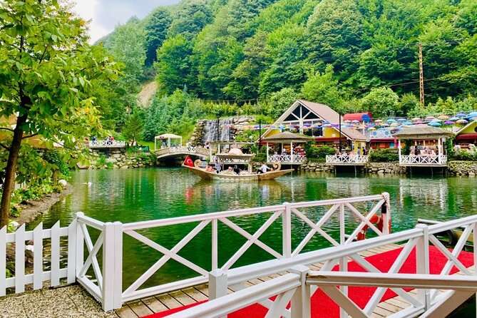 From Istanbul: Sapanca and Masukiye Day Trip with Lunch - Hotel pickup, comfort rides, and the zoo or Lion Park choice