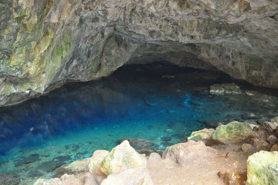 From Kusadasi: Full-Day National Park Jeep Tour with Lunch - Price and logistics: why $30 feels fair here