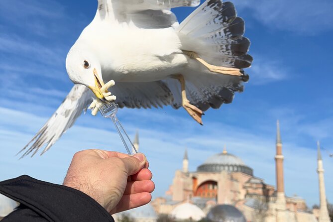 ISTANBUL BEST: Iconic Landmarks Full Day PRIVATE Guided City Tour - Key Things I’d Put on Your Radar