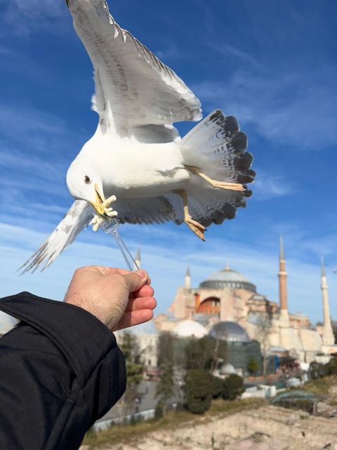 Istanbul: Best of the City Full-Day Tour with Transfers - Price and ticket math: what $54 really gets you