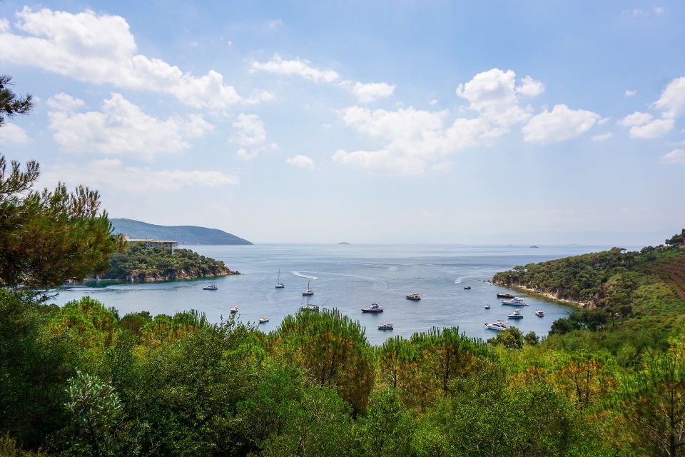 Istanbul: Princes' Islands Cruise w/Music, Lunch & Transfer - Princes’ Islands by Boat: A Calm Day That Still Feels Efficient