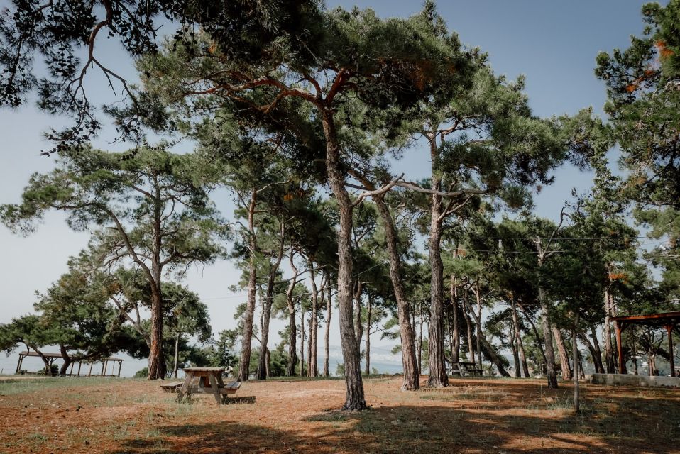Istanbul: Princes' Islands Cruise w/Music, Lunch & Transfer - Kınalıada Walking Tour: Small Hills, Island Stories, and Time to Roam