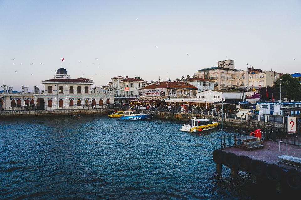 Istanbul: Princes' Islands Cruise w/Music, Lunch & Transfer - Büyükada: Mansions, Electric Rides, Beaches, and the Car-Free Magic