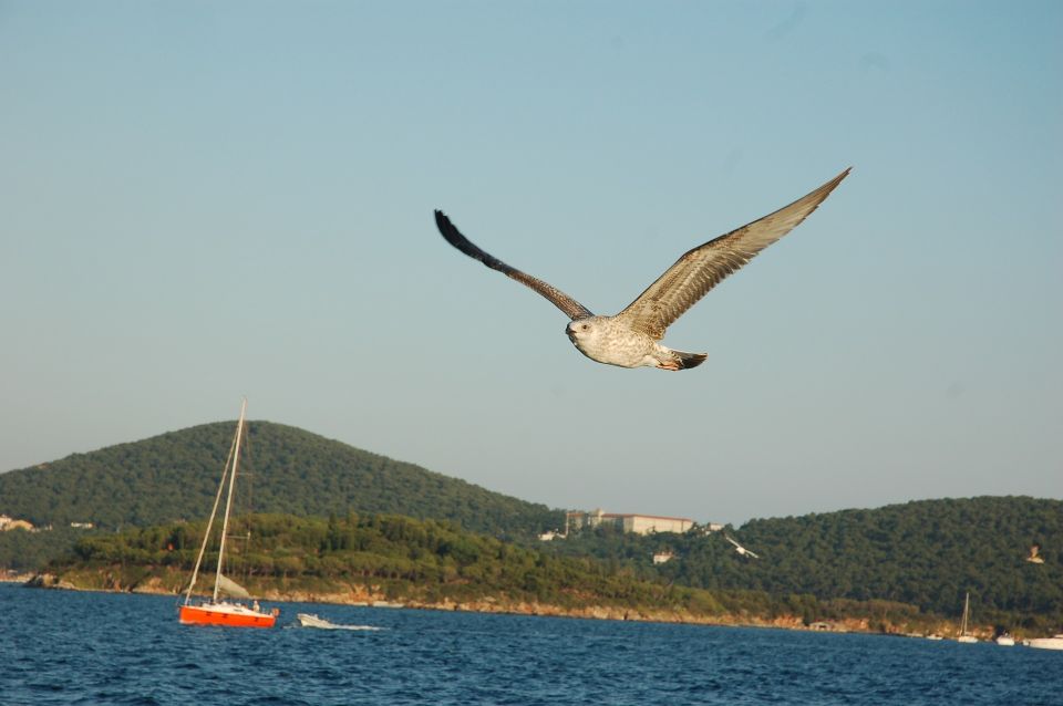 Istanbul: Princes' Islands Cruise w/Music, Lunch & Transfer - Price and Value: What $34 Really Buys You