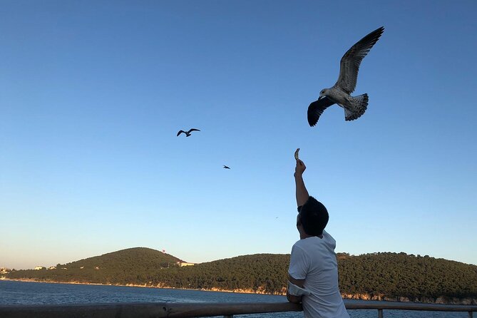 Istanbul: Princes Islands Tour with Heybeliada and Buyukada - Büyükada: Mansions, Lunch On Board, and the Best Use of Your Time