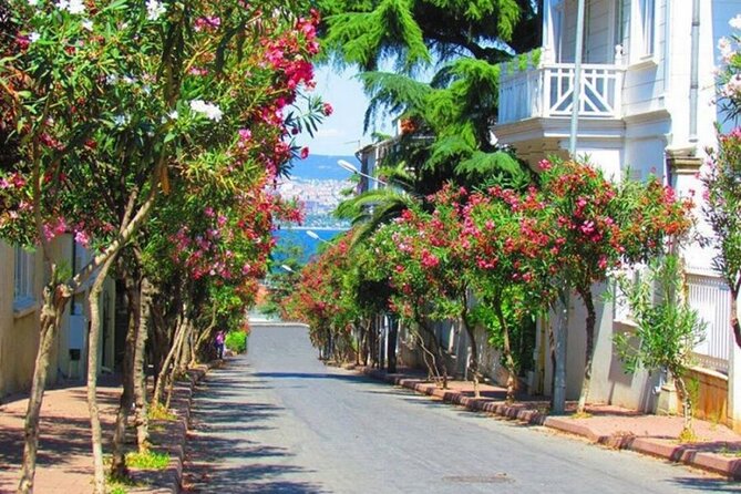 Istanbul: Princes Islands Tour with Heybeliada and Buyukada - Your 3-Hour Free Window: Swimming, Bikes, and Electric Vehicles (What’s Actually Yours to Choose)