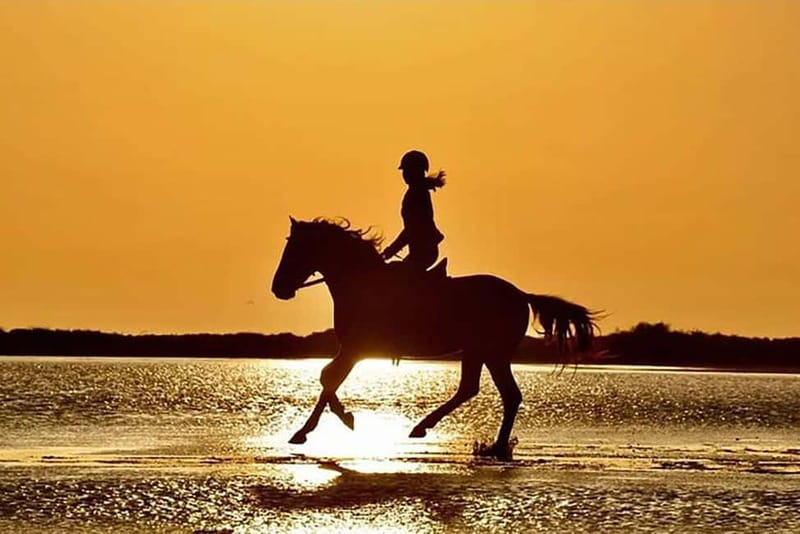 Manavgat Side: Horse Riding on the Beach and in the Forest - Side Horse Riding: Pine Forest Calm and Beach-Run Fun
