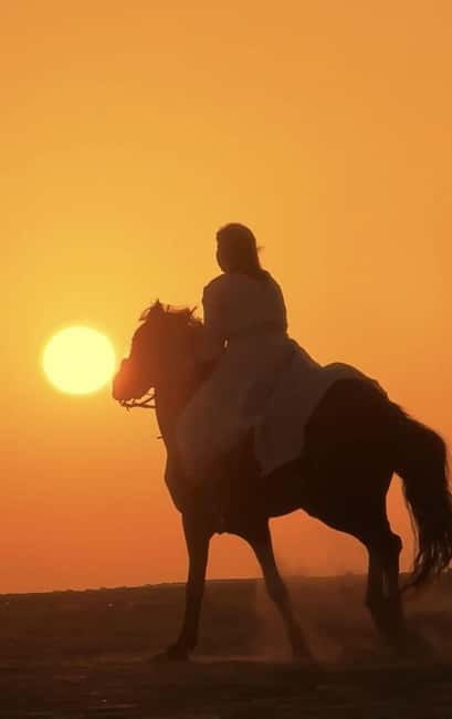 Manavgat Side: Horse Riding on the Beach and in the Forest - The ride plan: what happens during those 90 minutes