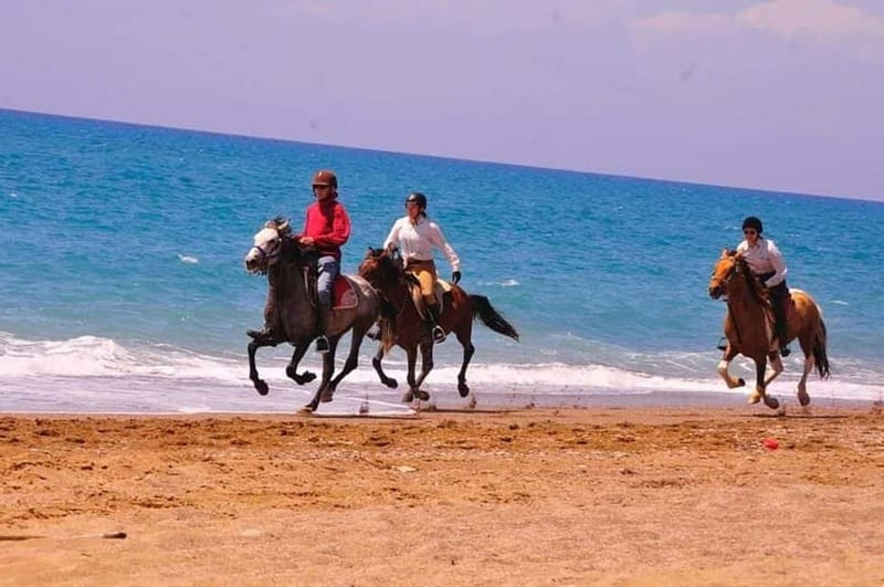 Manavgat Side: Horse Riding on the Beach and in the Forest - The $58 value: why this price can make sense